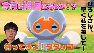 【ポケモン剣盾】色違いタタッコ捕獲終了宣言！息子寝てます小声配信！ロバート山本ひろしのゲームチャンネル