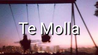 Te Molla песня из Тик Ток