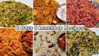 6 Days 6 Lunchbox Recipes/ 6 Easy Lunch Recipes/ Variety Rice Recipes