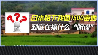 日本又搞什么“阴谋”？在我国租下1500亩地，还将租期签满20年