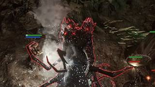 WIN THE DEVOURER EASY in Path of Exile 2