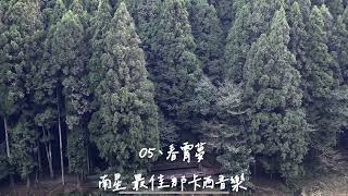 特殊洞簫音樂專輯系列-02 【05-春霄夢】 熱門那卡西音樂經典歌曲演奏 南星影音娛樂