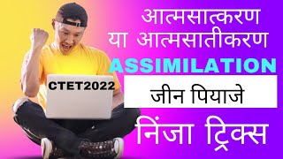 आत्मसात्करण क्या है? | what is assimilation | Jean Piaget | CTET2022 | आत्मसातीकरण |