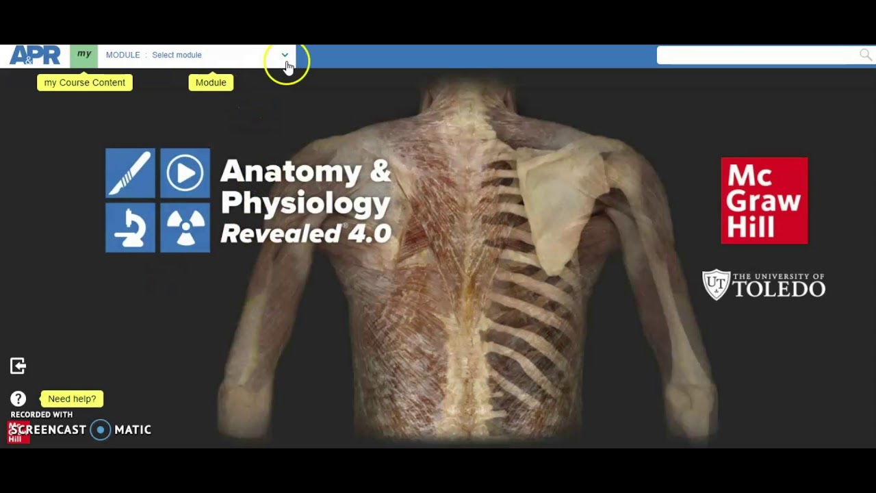 Mcgraw Hill Anatomy And Physiology Revealed