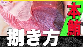 【マグロの部位】本マグロ腹1丁！4分の1を柵取りの仕方と！「マグロの捌き方紹介」