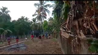 Elephant Attack In Chavakkad Manathala 2019