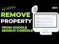 How to remove property from google search console