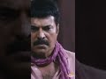 Mammootty Malayalam Movie Scenes  #shorts  #mammootty