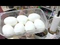 超簡単 プロ直伝『絶品とろ～り半熟煮玉子』how to make soft boiled egg directly by professional