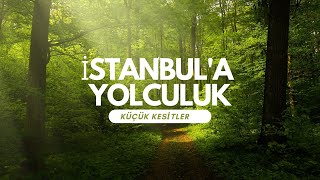 Kapıkule sınır kapısı geçişi | Türkiye yol macerası 🇹🇷 ( bölüm 1 ) #reklam değildir