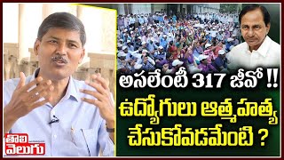 అసలేంటీ 317 జీవో !!  | Prof Kasim On 317 GO | Tolivelugu TV