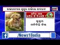 bhubaneswar dog bite case କୁକୁର ରଖିଲେ ମାନିବାକୁ ପଡିବ ଗାଇଡଲାଇନ . ବିଏମସି ତରଫରୁ ଆସିବା ନୂଆ ଗାଇଡ଼ ଲାଇନ