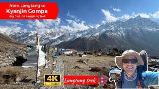 🥾 Langtang to Kyanjin Gompa ⛰️ Langtang trek | FULL WALKTHROUGH POV