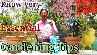 20 Essential Gardening Tips that Will Make You EXPERT IN GARDENING // Part - l