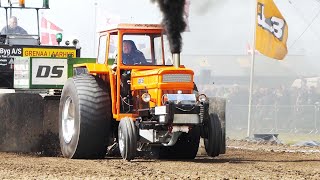 3500kg Super Standard Cup at Visby Traktortræk 2022 | Great Action | Tractor Pulling Denmark