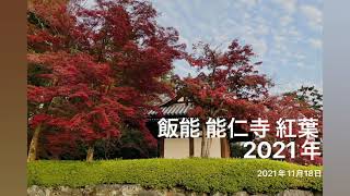 飯能　能仁寺の紅葉　2021年