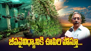 మొక్కలే మన సజీవదైవాలు | Plants Are Our living Gods | VBC ON TV