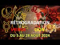 LA RÉTROGRADATION DE MERCURE EN VIERGE ET EN LION À LA LUMIÈRE DES ASTRES : DU 5 AU 28 AOÛT 2024