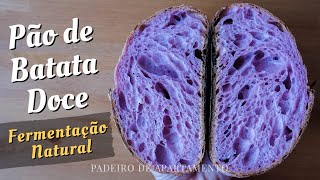 Pão de Batata Doce Roxa com Fermentação Natural (ou Biológico Seco) | Padeiro de Apartamento