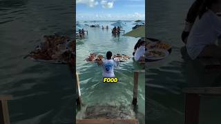 Waiter Serving Food in the Ocean 🌊