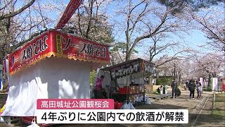 高田城址公園観桜会が２９日に開幕　開花が早まり一部のイベントは２８日夜から実施【新潟】 (23/03/28 11:55)