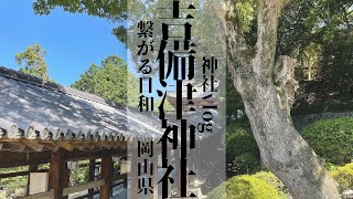 吉備津神社/岡山県《神社vlog》@Kibitsu Shrine/Okayama,Japan