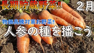 2月は人参と大根の種を播こう！（もう野菜は買わない‼長期貯蔵野菜は自分で作る）