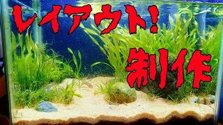 【レイアウト】砂地の日本淡水水槽を作ってみた！