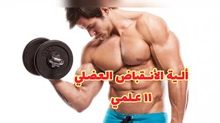 الية الانقباض العضلي - 11