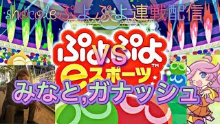 美容ぷよらーshocoleぷよぷよ垂れ流し配信　特訓