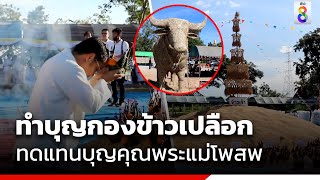 ทำบุญกองข้าวเปลือก ทดแทนบุญคุณพระแม่โพสพ | ข่าวช่อง8