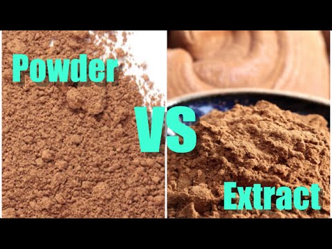 MUSHROOM POWDERS VS EXTRACTS: WHAT'S THE DIFFERENCE? MUSHROOM POWDERS VS EXTRACTS: WHAT'S THE DIFFERENCE?