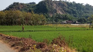 Selayang Pandang Desa Jayanti Kecamatan Palabuhanratu Kabupaten Sukabumi Jawa Barat