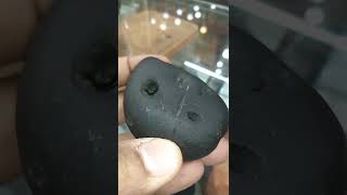 Rare Shimshumara Shaligram @rudrakshguru