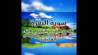 سورةالبقرة#💥طاردةالشياطين🥸وتبطل السحروالمس والعين👁والحسد وحفظ وتحصين البيت🏡من كل شربإذن الله/💥💥💯