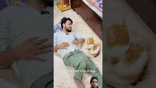 Billu ki acting 😂 #cat #billicomedy #comedy #funny #billu #video #cat #viralvideo