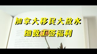 加拿大移民部大放水 加拿大工签有什么隐藏福利？