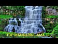 Top Mandarin Lama 11