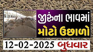 જીરું ના ભાવમાં વધારો 🔥| 12-02-2025 | આજના બજાર ભાવ | જીરું નો ભાવ | commodity trend #jeeranabhav