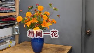 【大叔说花】每周一花112万寿菊百合火龙珠家庭生活居家花瓶插花