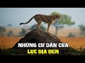 Những Cư Dân Của Châu Phi [REPLAY] | Khám Phá Thế Giới Động Vật Hoang Dã