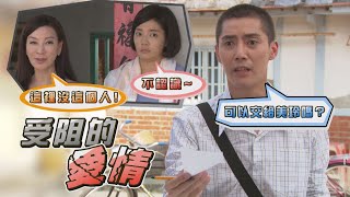 【加油！美玲】EP20 智誠到林家找美玲 不料遭麗雲阻撓…！ Fighting！MeiLing