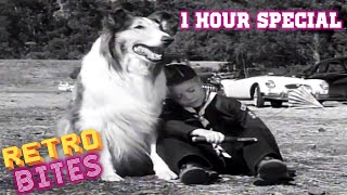 Lassie | 1 Hour Compilation | Lassie English Full Episodes  🐕