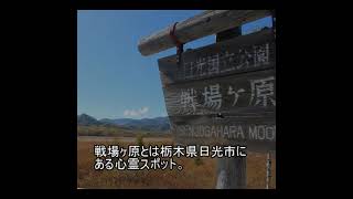 心霊スポットファイル1125　戦場ヶ原