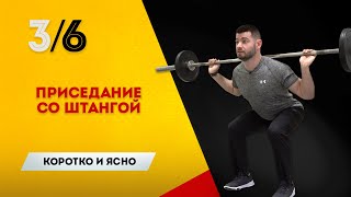 Коротко и Ясно. Упражнение для ног: как правильно делать приседание со штангой