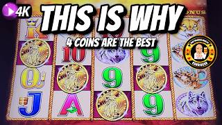 BEST Buffalo Gold Bonuses Are 4 Coins and Here's Why