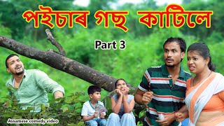 পইচাৰ গছ  কাটিলে Part-3 | Assamese comedy video | Assamese funny video