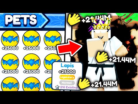 I Spent 10,000 For MAX POWER PET TEAM To Become BEST FIGHTER in Roblox Karate Fight Simulator..