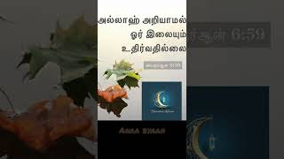 அல்லாஹ் வின் நேசம் Part-Anaa byaan