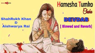 Hamesha Tumko Chaha - Devdas | Slowed & Reverb | LoFi | Shah Rukh Khan & Aishwarya Rai |